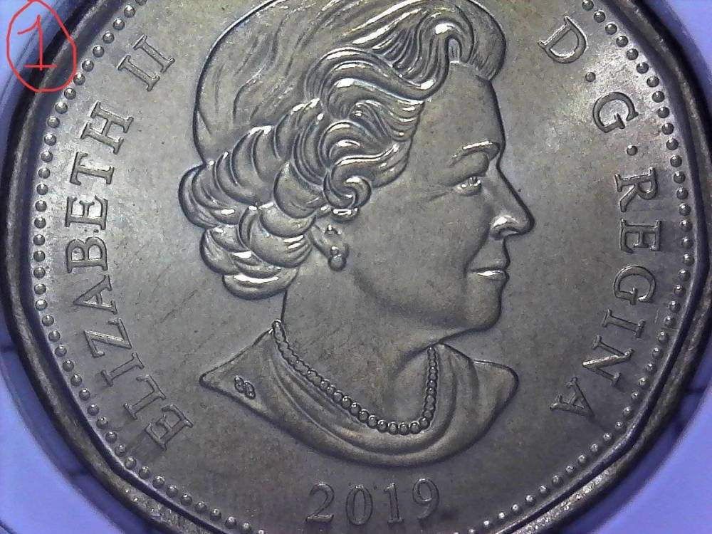 2-2019-Dollar-Coin-Grade-Help