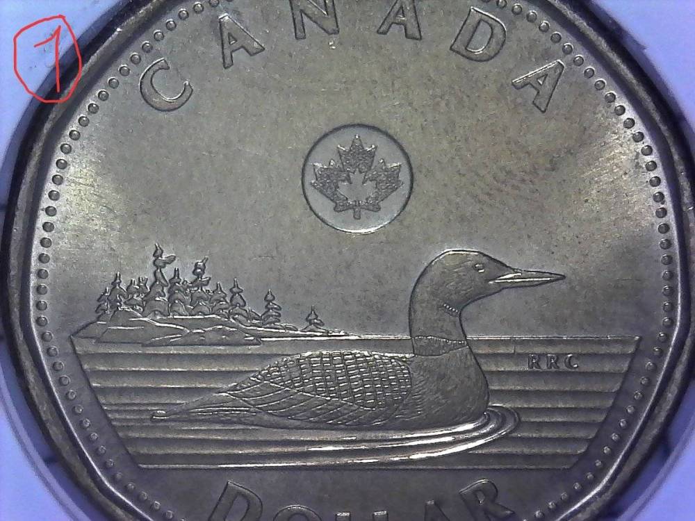 2-2019-Dollar-Coin-Grade-Help