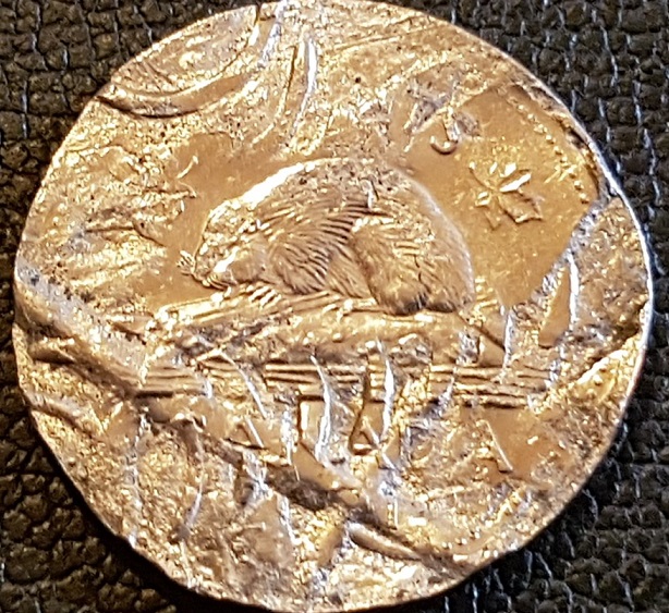What-Happend-To-This-Nickel?