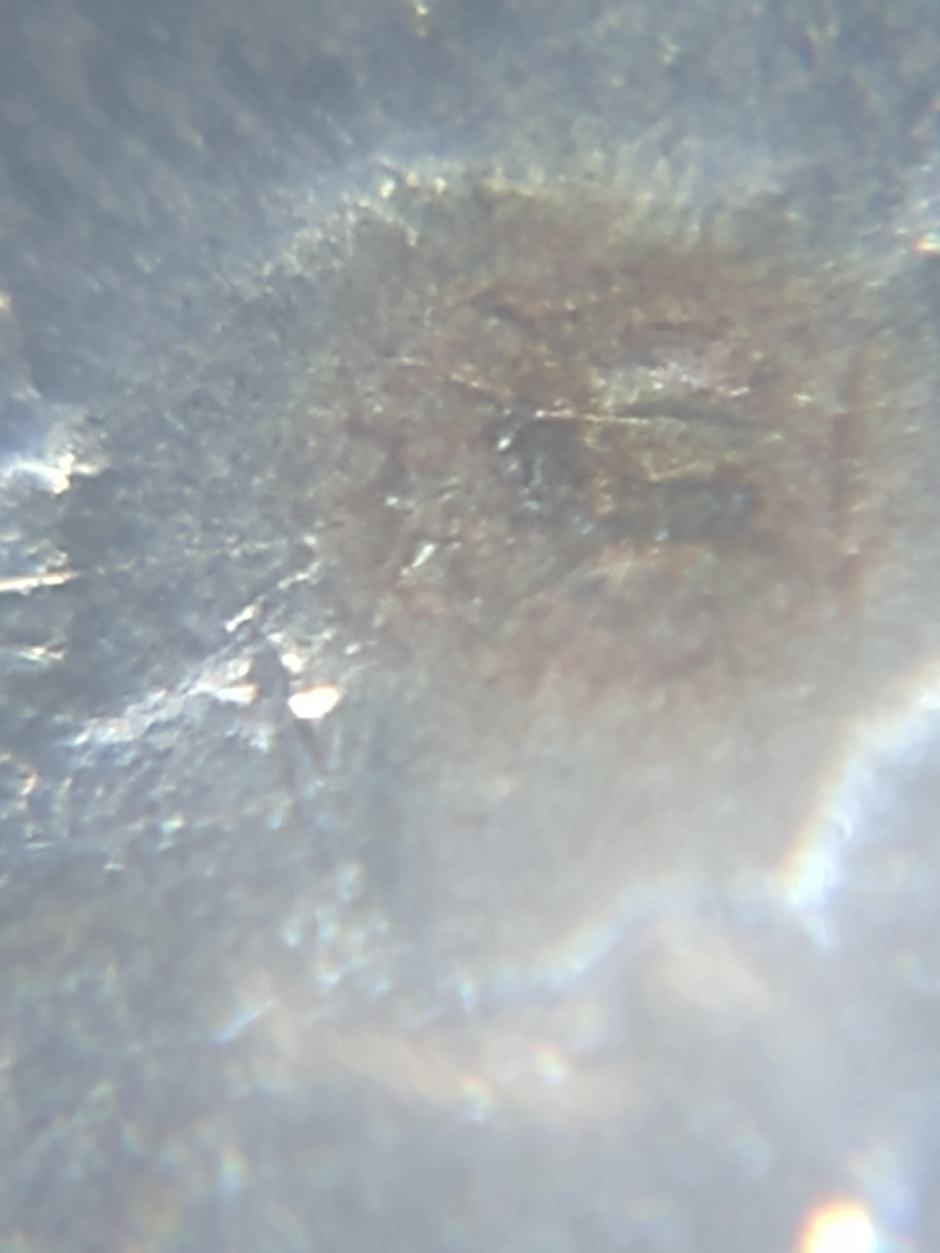 2022-Sally-Quarter-Crater-Error