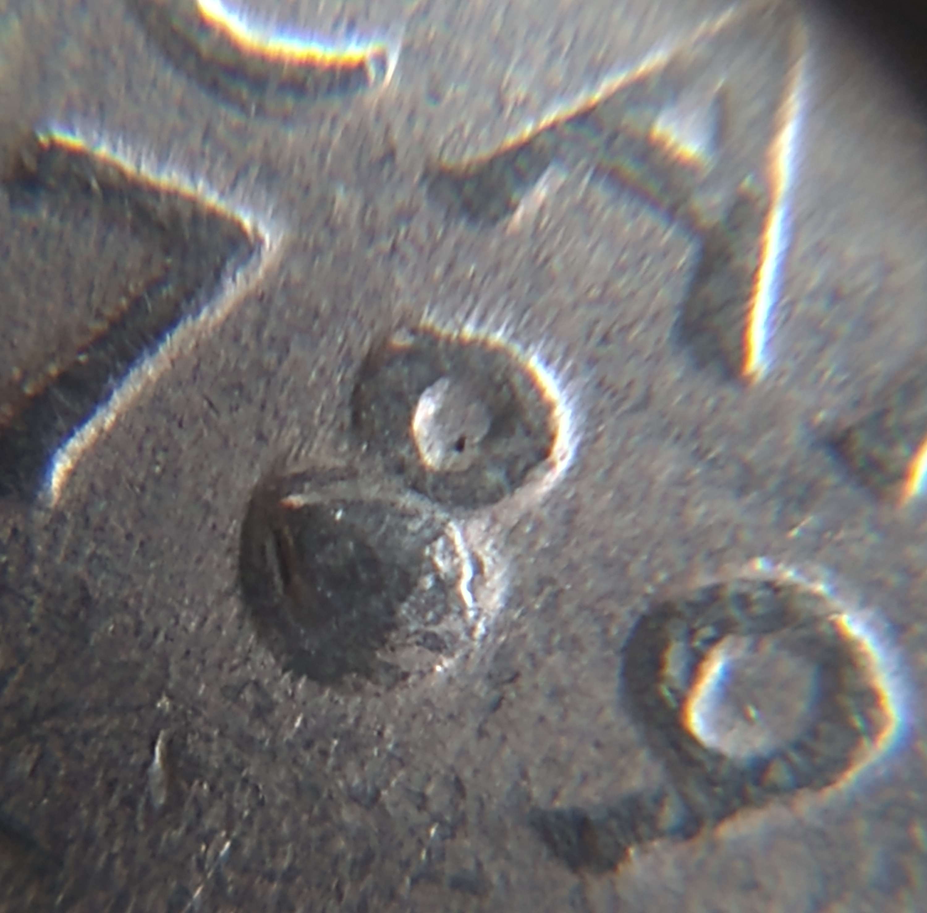 My-Roll-Find-Of-The-Day-!