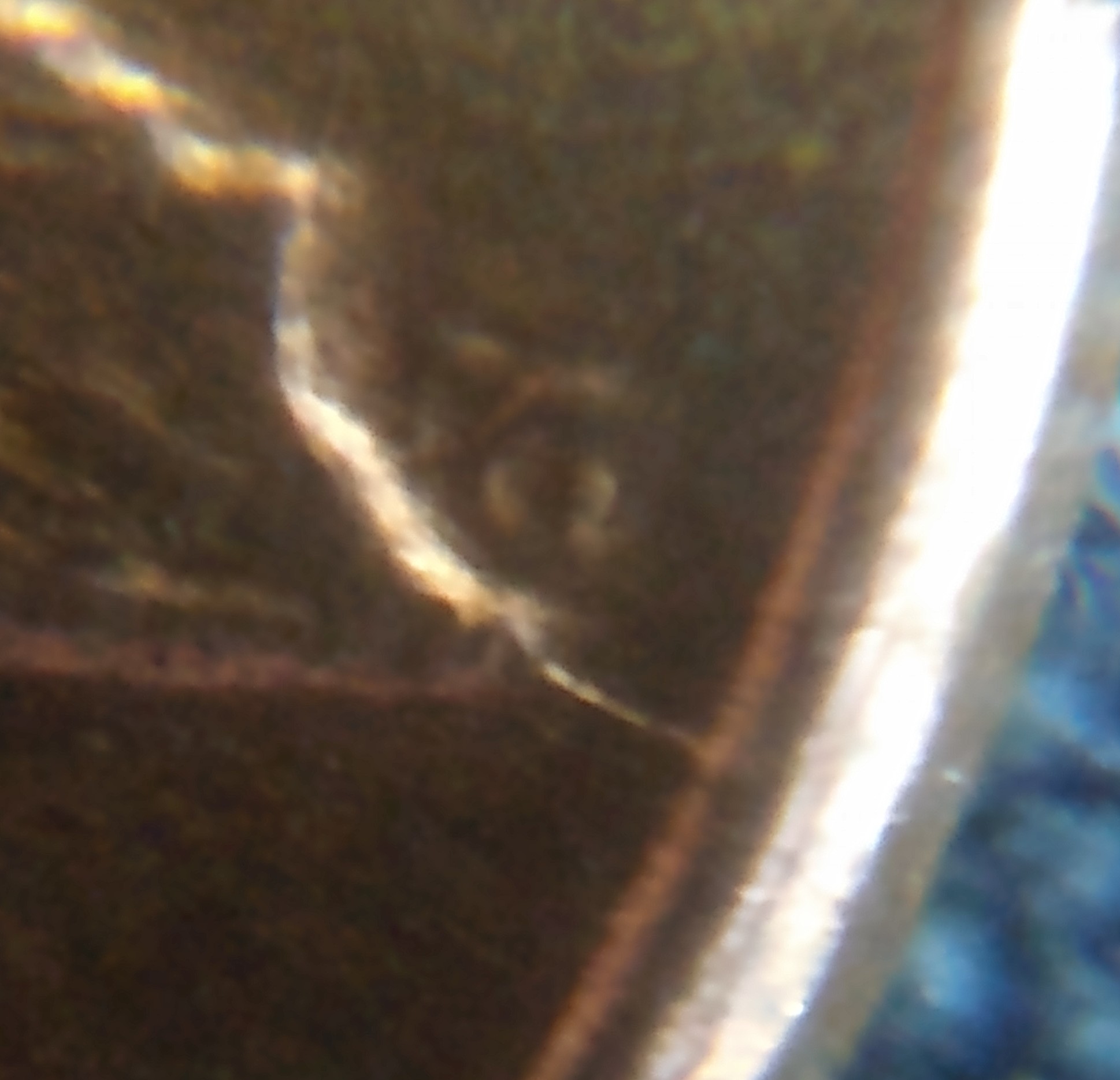 My-Latest-7-11-Penny-Find-1980