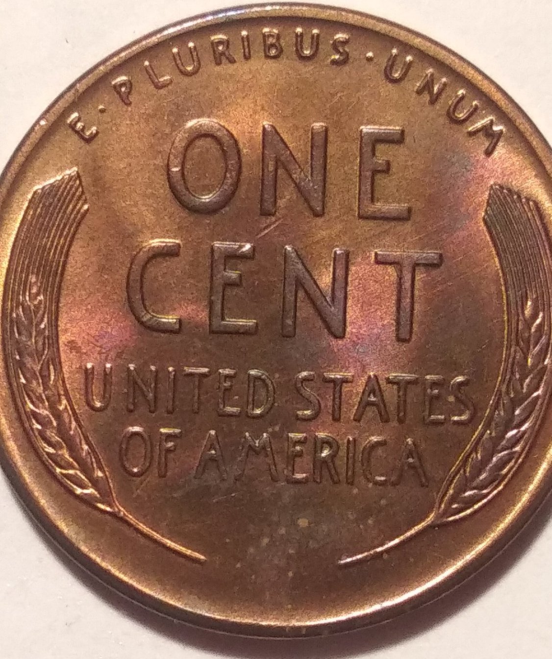 1955-S-Found-Box-Hunting