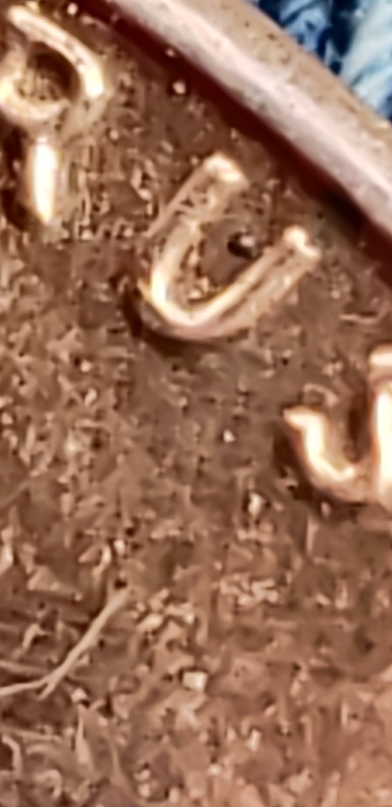 1986-D-LMC-DDO?-Got-Back-In-Store-Change