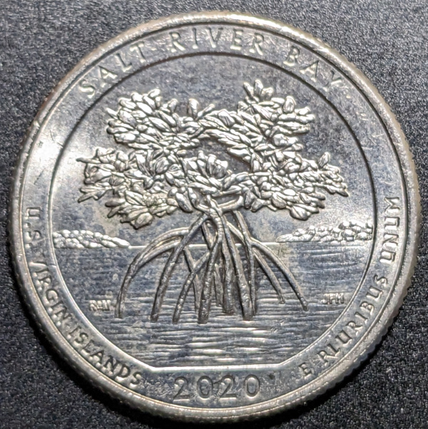 2020-P-Salt-River-Quarter,-Many-Lines-In-IGWT,-DDO?