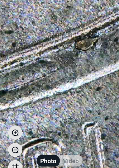 2021-Lincoln-Shield-Cent-DDO-Date-And-Notched-Letters