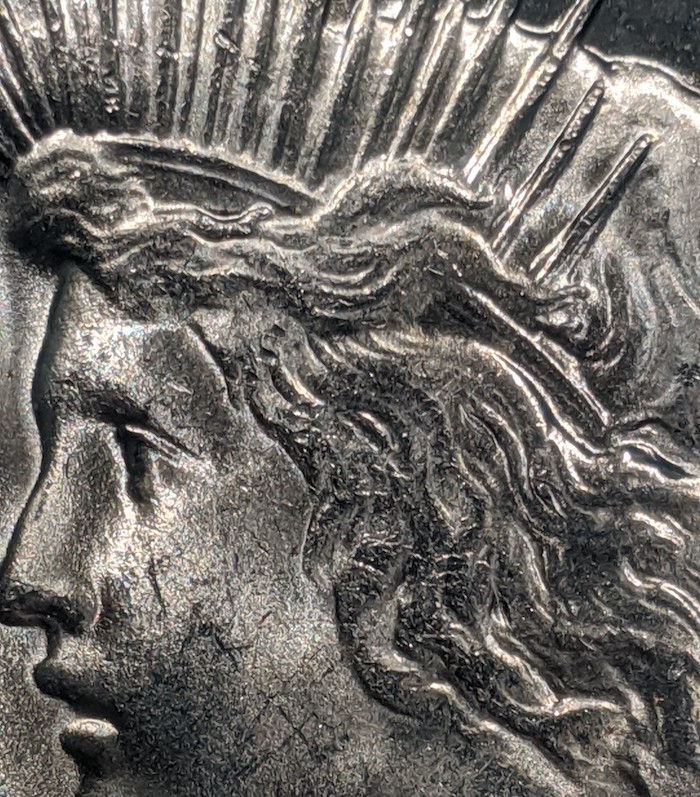 1927-Peace-Dollar-Grade