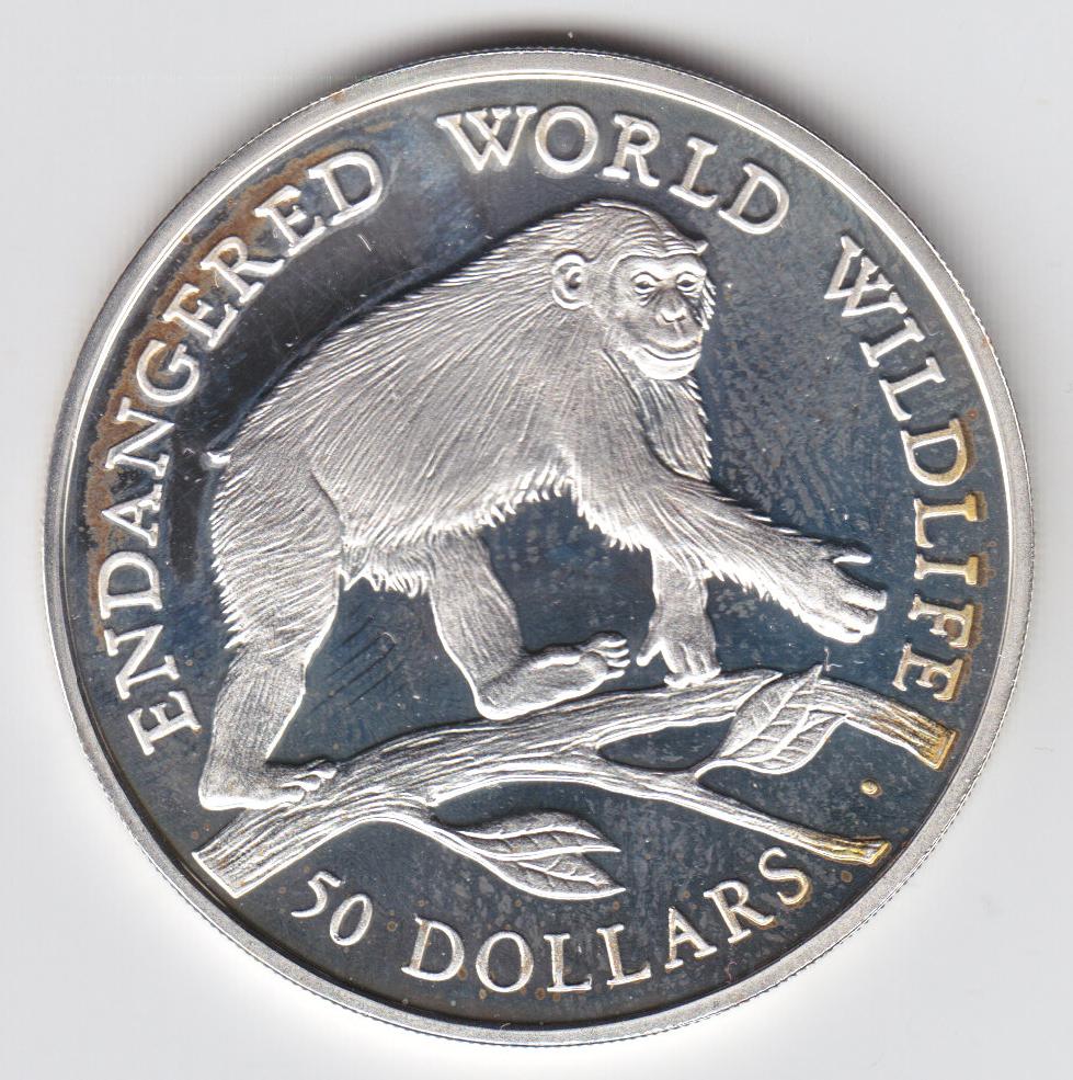 Post-Your-Coins-With-Monkeys,-Apes-And-Other-Primates
