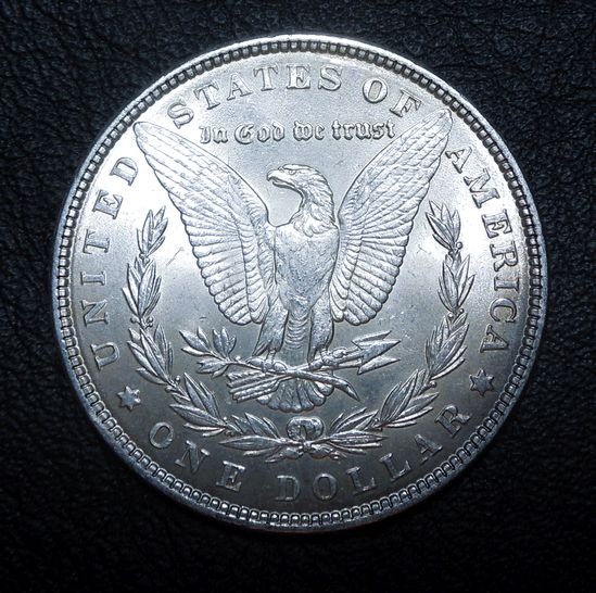 For-Grading---1886-Morgan-Dollar-Even-More-Pics