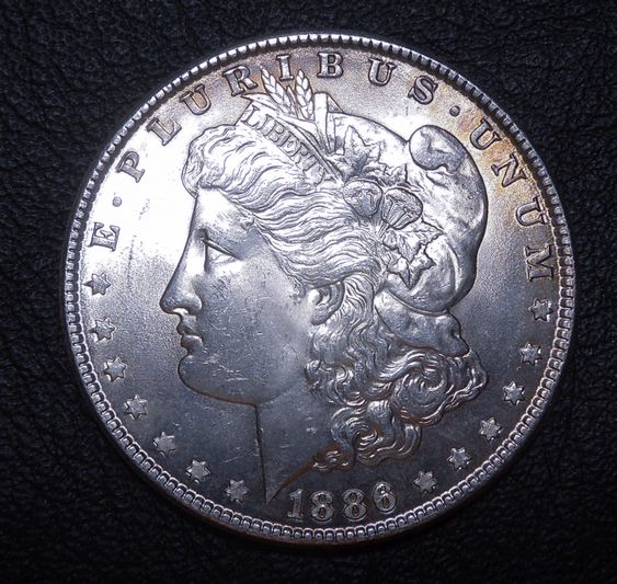 For-Grading---1886-Morgan-Dollar-Even-More-Pics
