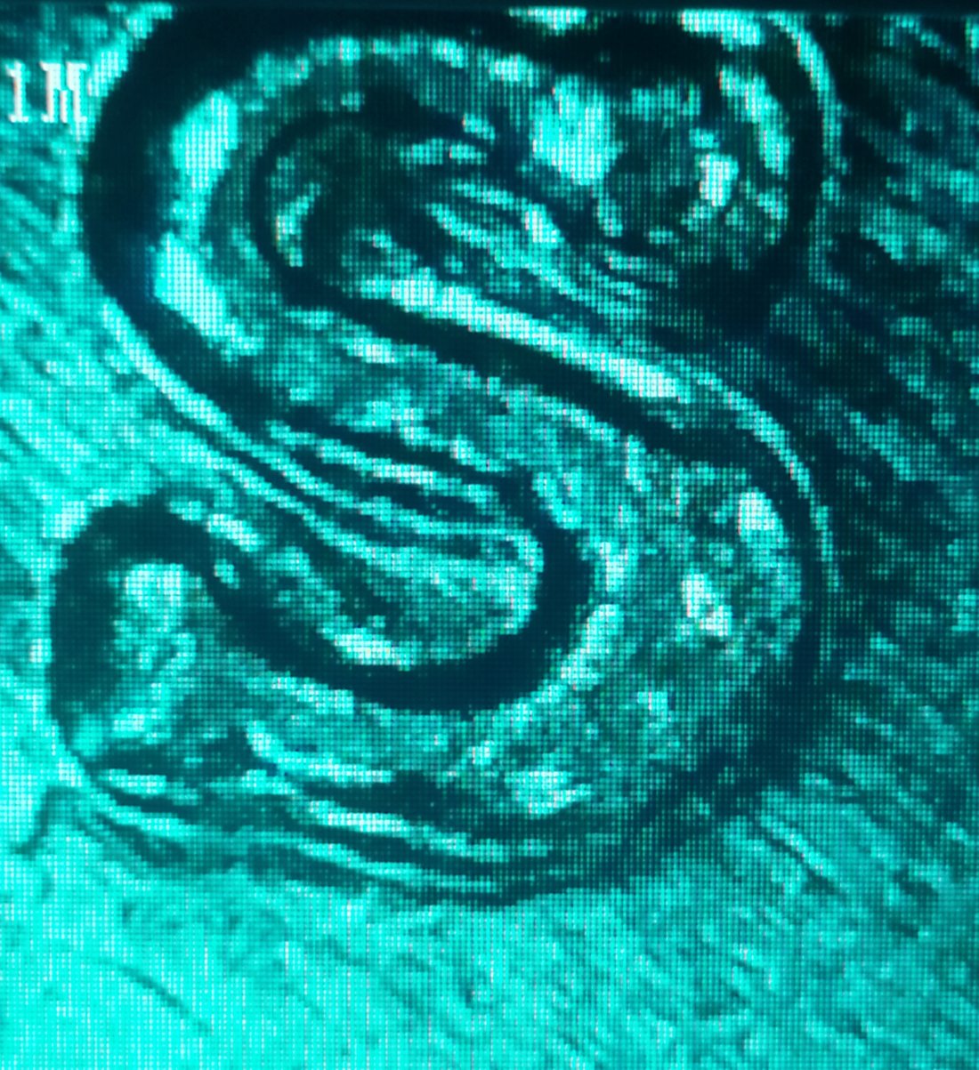 2014-S-Florida-Everglades-Quarter-,-Help-Please-!