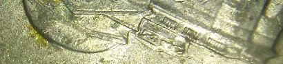 2003-P-Nickel-DDO,-DDR,-Cuds