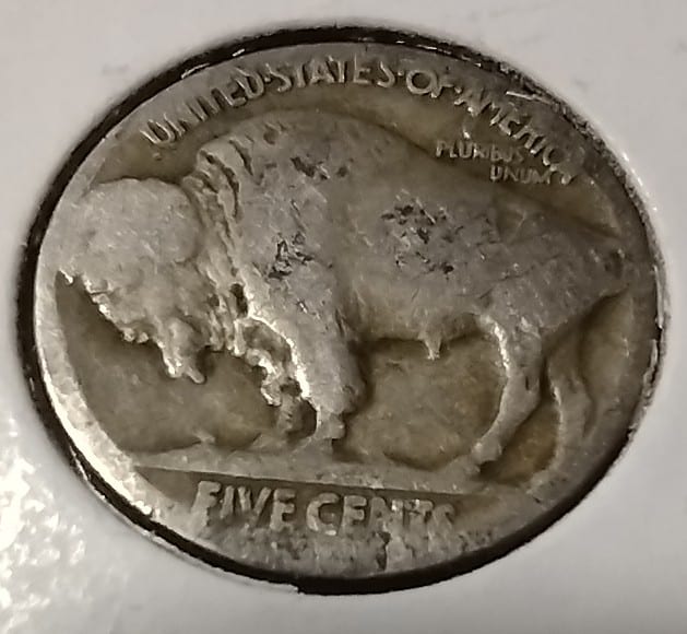 No-Date-Buffalo-Nickel-In-Question.