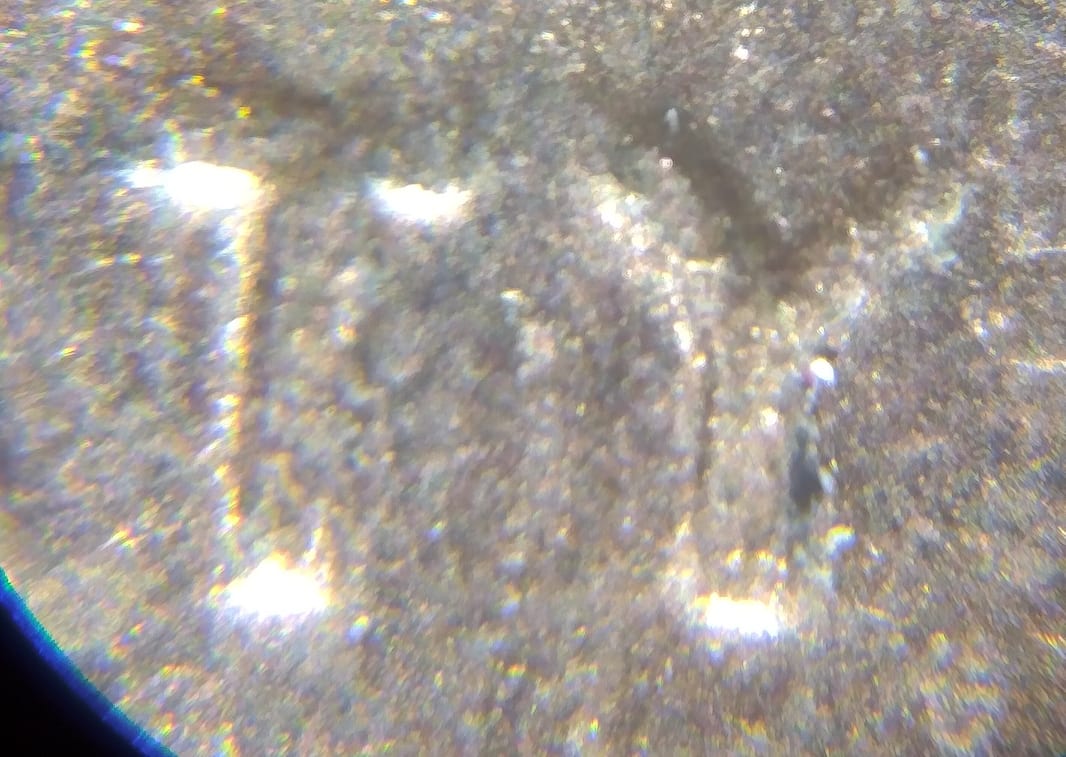 2013-D-Penny-Questions.