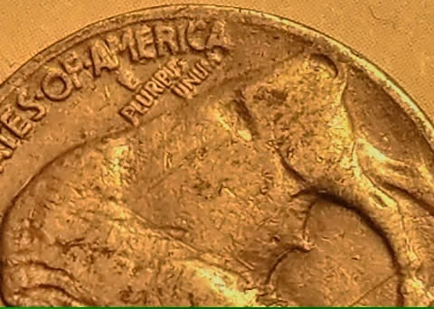 1936-P-Buffalo-Nickle,-Possible-Double?-What-Do-You-Say?