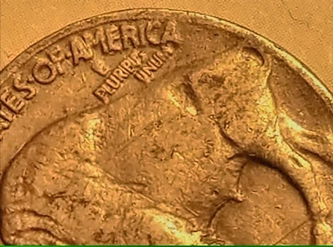 1936-P-Buffalo-Nickle,-Possible-Double?-What-Do-You-Say?