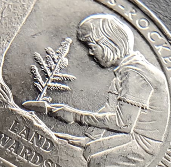2020-US-Quarter-Error?