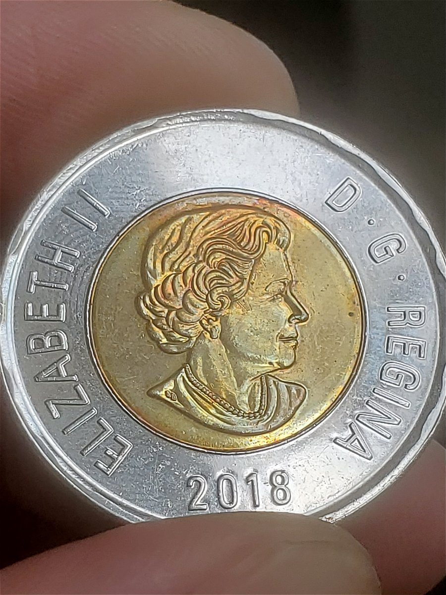 2018-Toonie-That-Looks-Like-A-DDO,-Thoughts-Anyone?