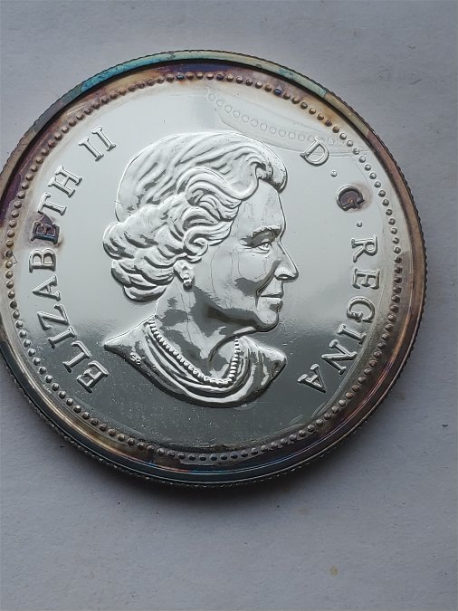 Need-Help-Identifying-Error-On-Silver-Dollar-1965--2005?