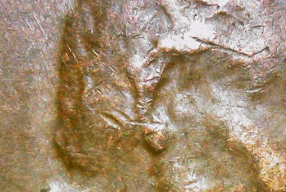 1954-P-Wheat-Penny-With-Possible-Double-Ear-Error