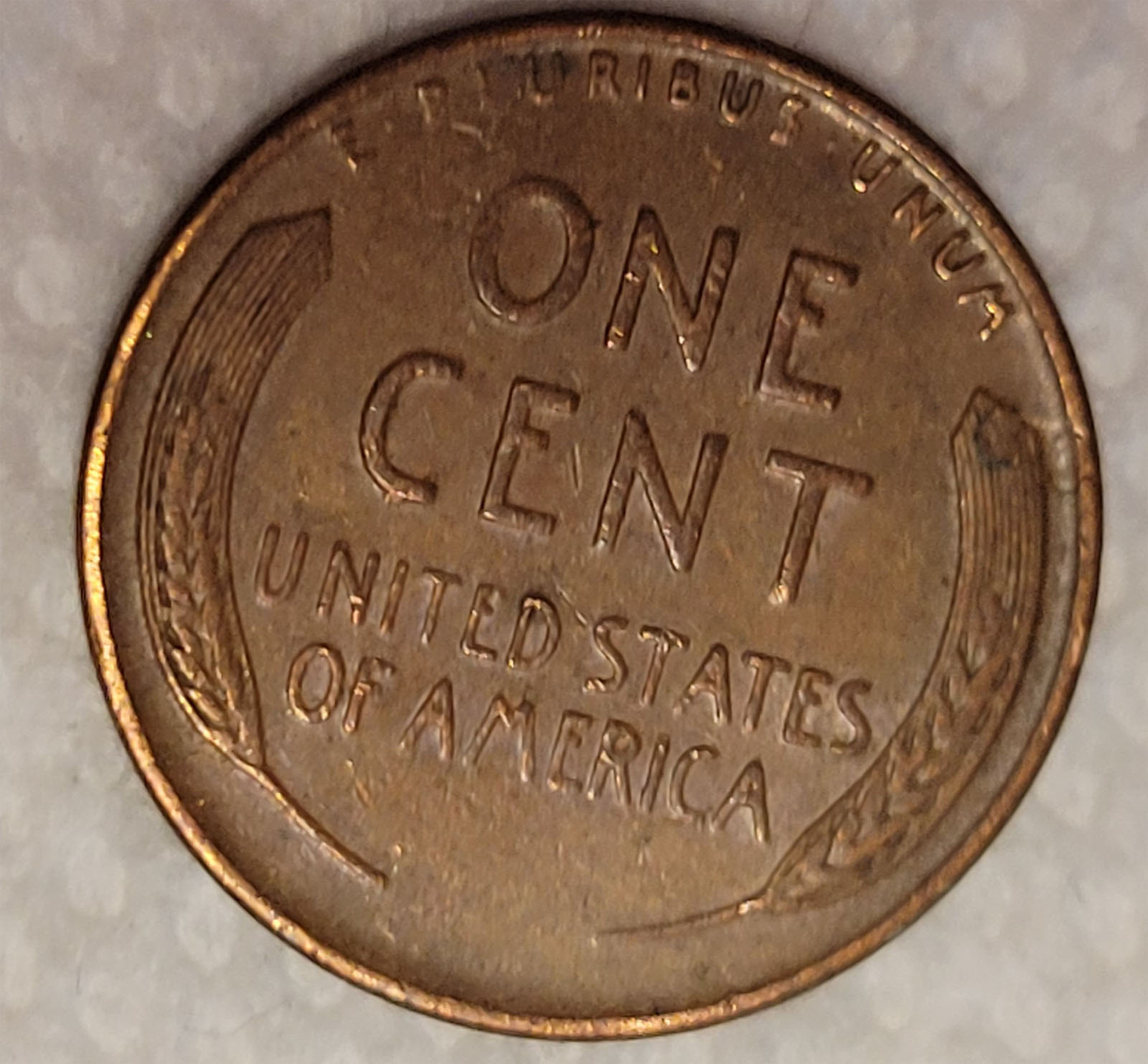 Found-Searching-Pennies---1956-D-Wheat-With-A-Weevil
