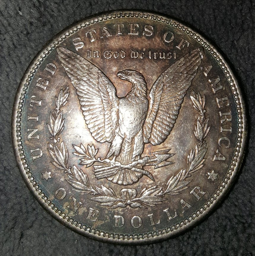 Grade-1900-Morgan-Please