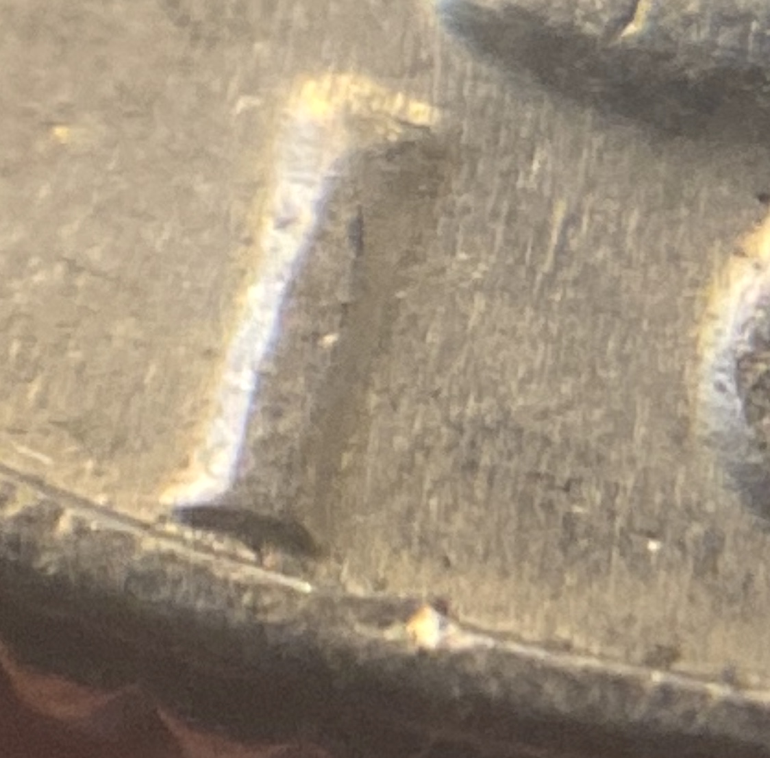 1981-D-Washington--Quarter-DDO?