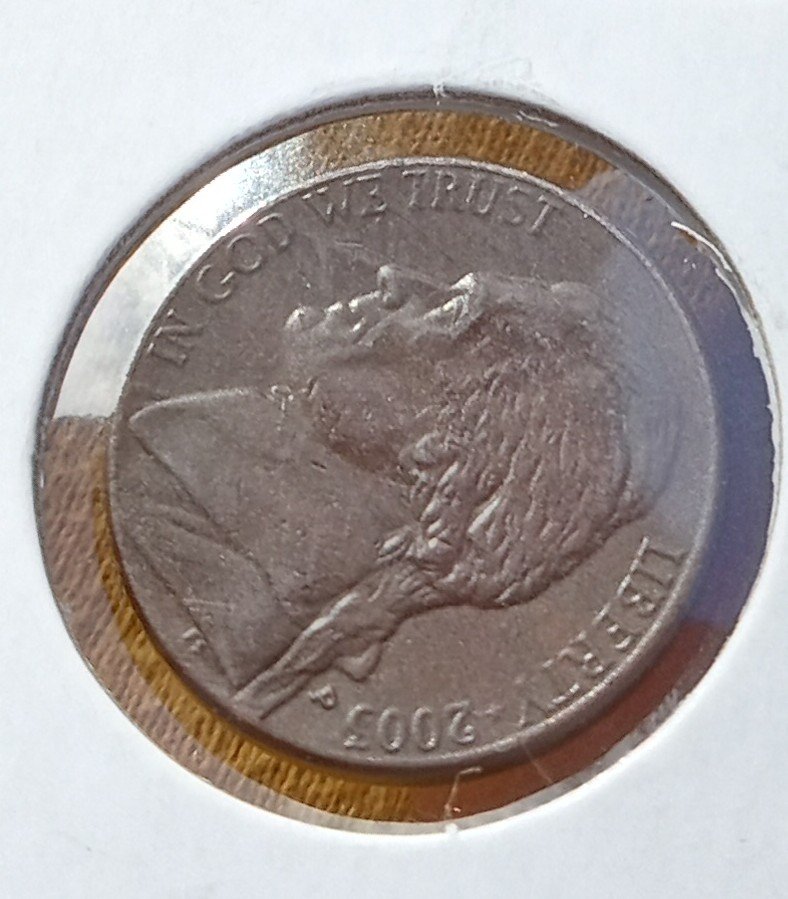 What-Is-This-Brown-Nickel?-2003-P