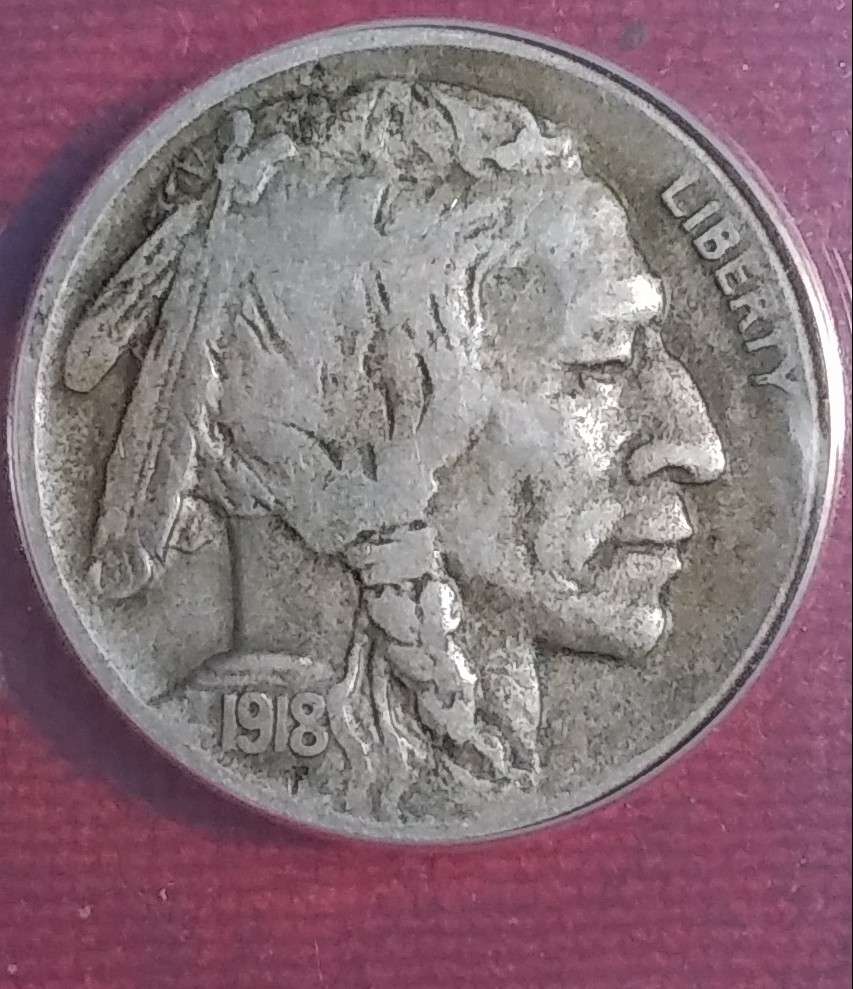 Grade-Opionions-On-Buffalo-Nickels-1913-35-By-All-4-TPG's
