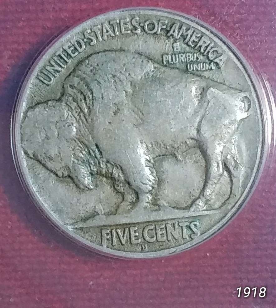 Grade-Opionions-On-Buffalo-Nickels-1913-35-By-All-4-TPG's