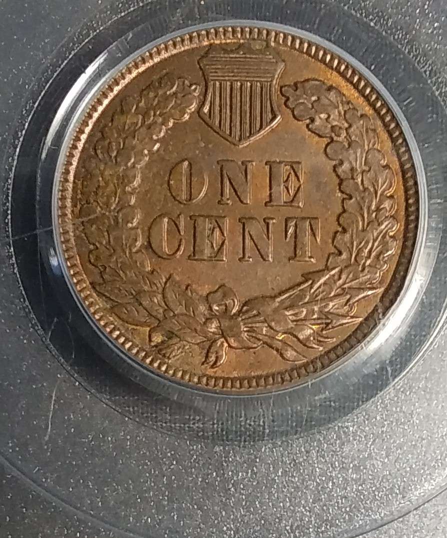 1881-Indian-Head-Cent-You-Vs-PCGS