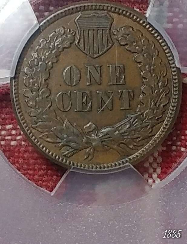 Indian-Head-Cents-PCGS-Vs-Forum-1873-1884-And-85