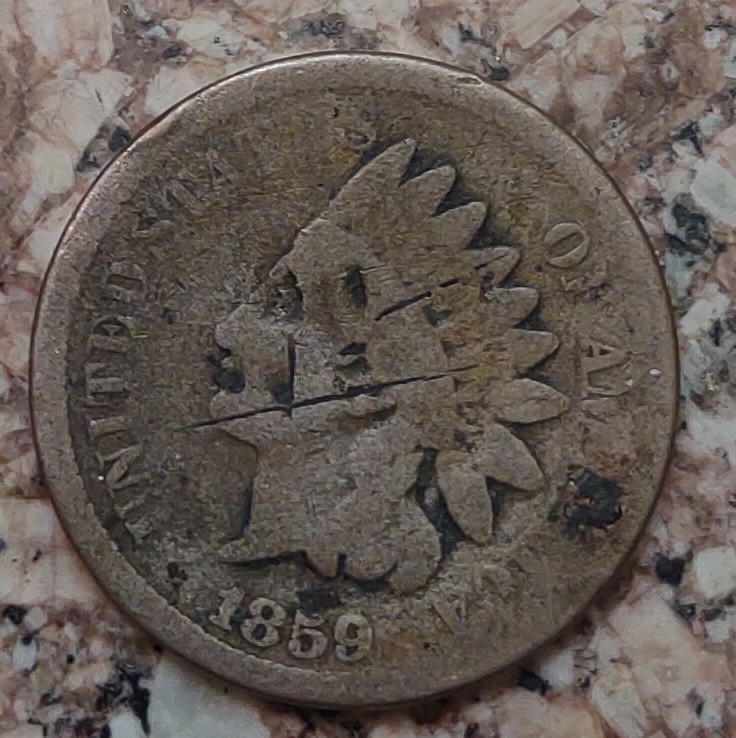 1886-Indian-Cent-It's-Not-Great-Shape-But-I'm-New-To-This