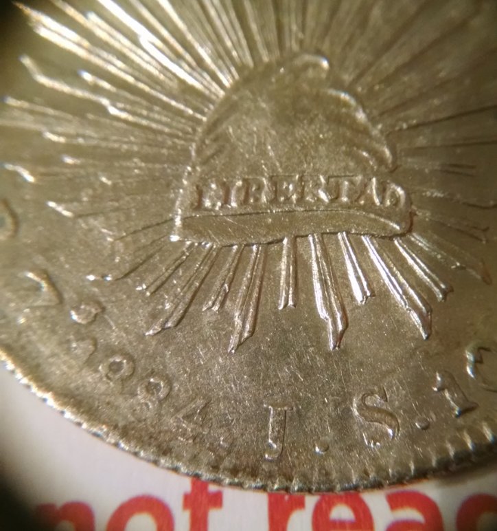 8-Reale-Cap-&-Ray-Opinions
