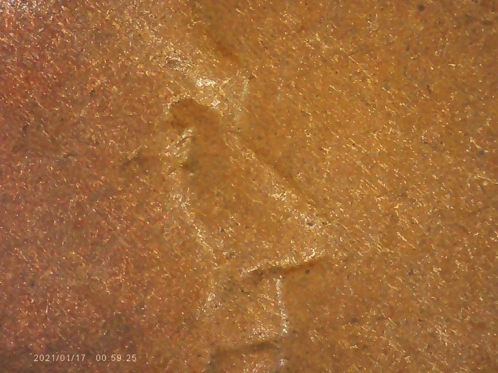 1917-S-Penny-DDO?-And-A-Cud-On-The-Reverse?