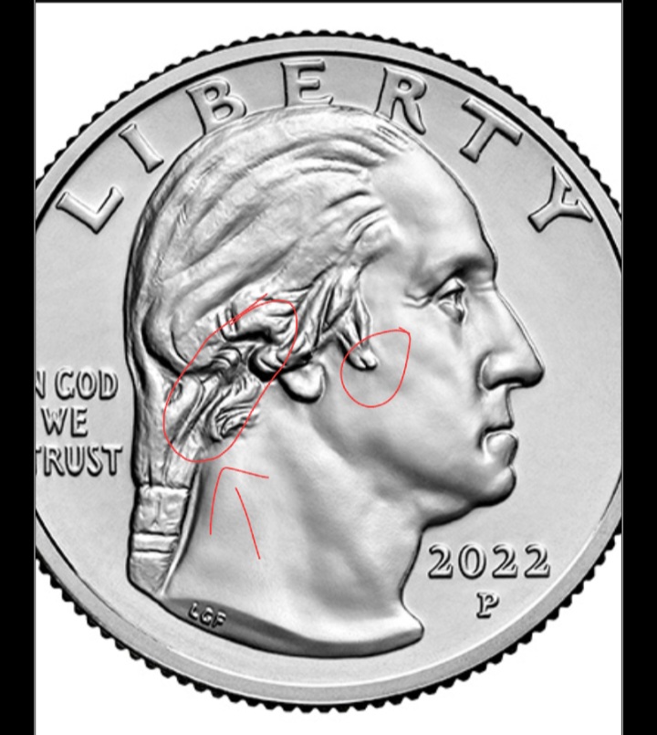 Newbie-Needing-Help.-Flower-In-Hair-On-The-American-Women-Quarters