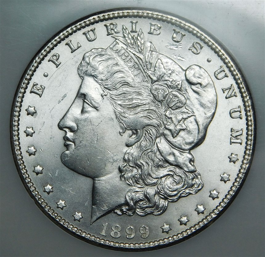 1899-P-Morgan-Dollar-GTG-Guess-The-Grade