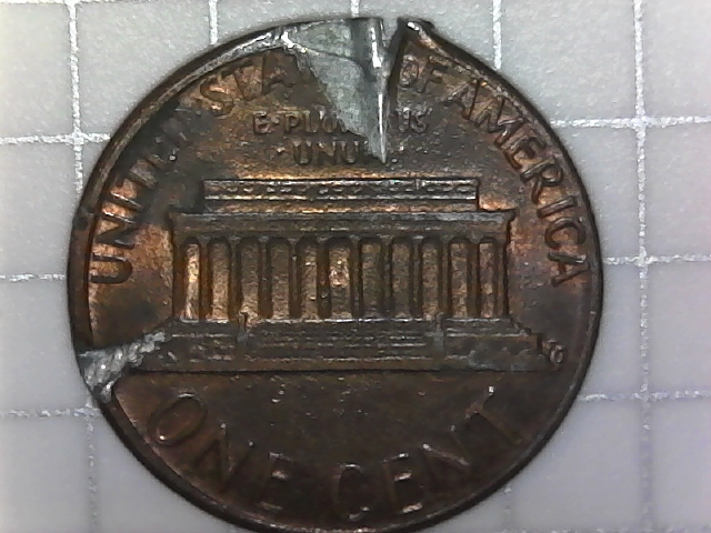 I-Need-Your-Opinion-In-This-Coin-Please
