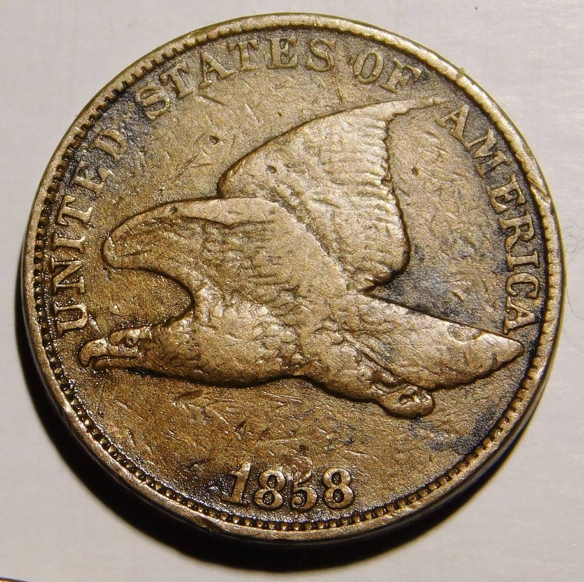 Post-Your-Coins-Representing-The-Animal-Kingdom.