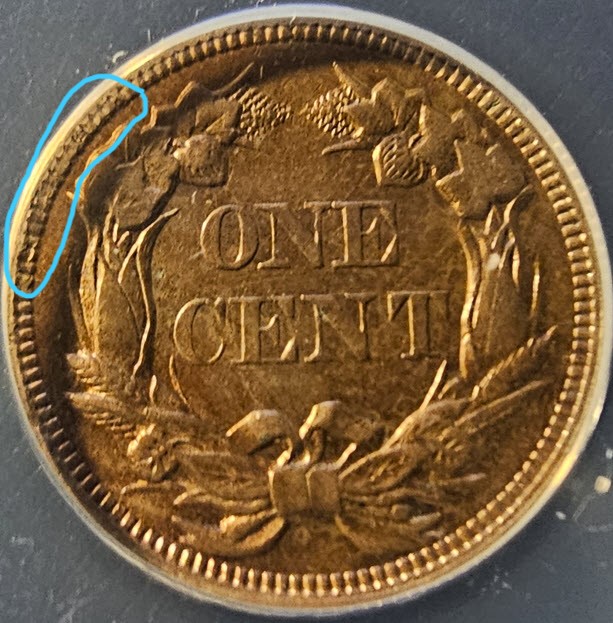 1858-Flying-Eagle-Cent-You-Vs-ANACSYellow-Holder