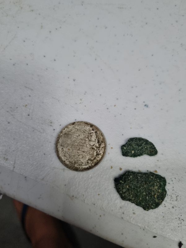 Post-Your-Australian-Circulation-Finds