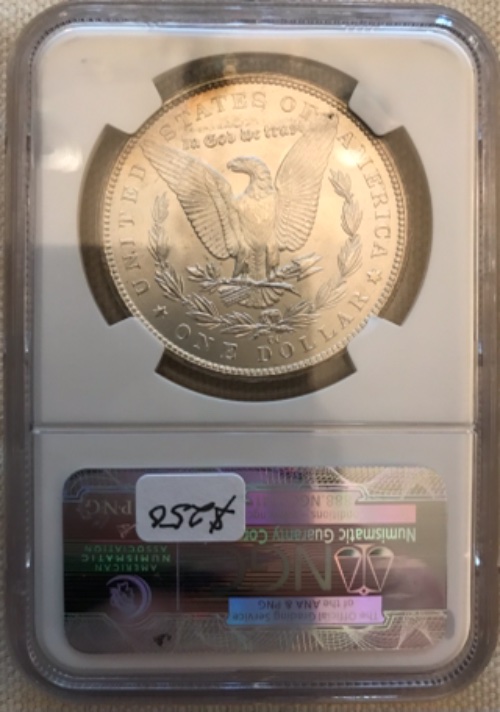 Vacation-Morgan-Dollar-Purchases