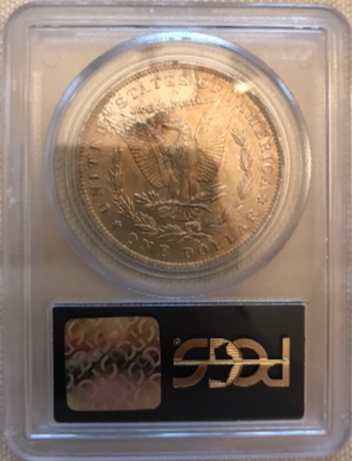 Vacation-Morgan-Dollar-Purchases
