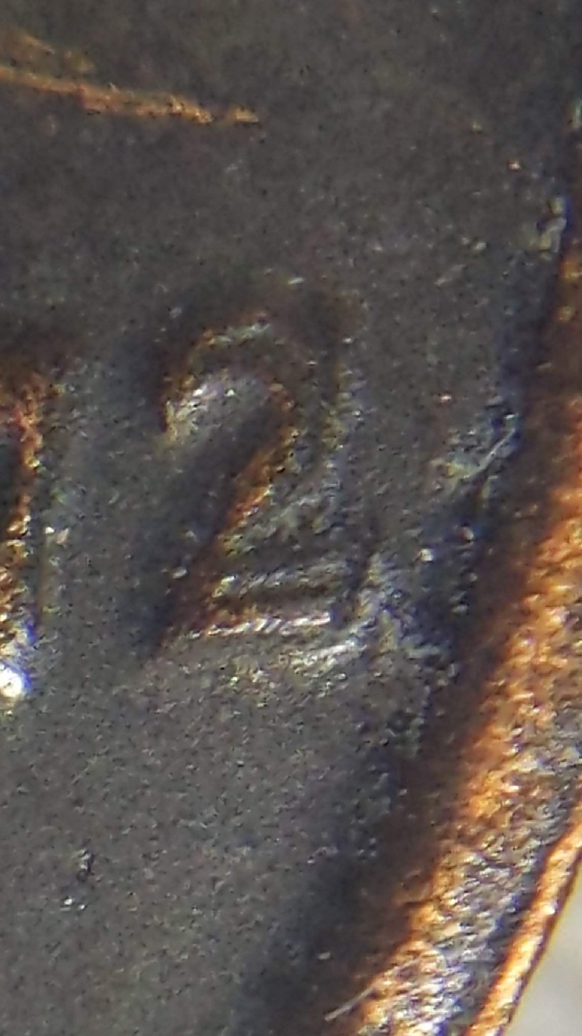 1972-DDO-Cent?--Any-Help-Always-Appreciated!