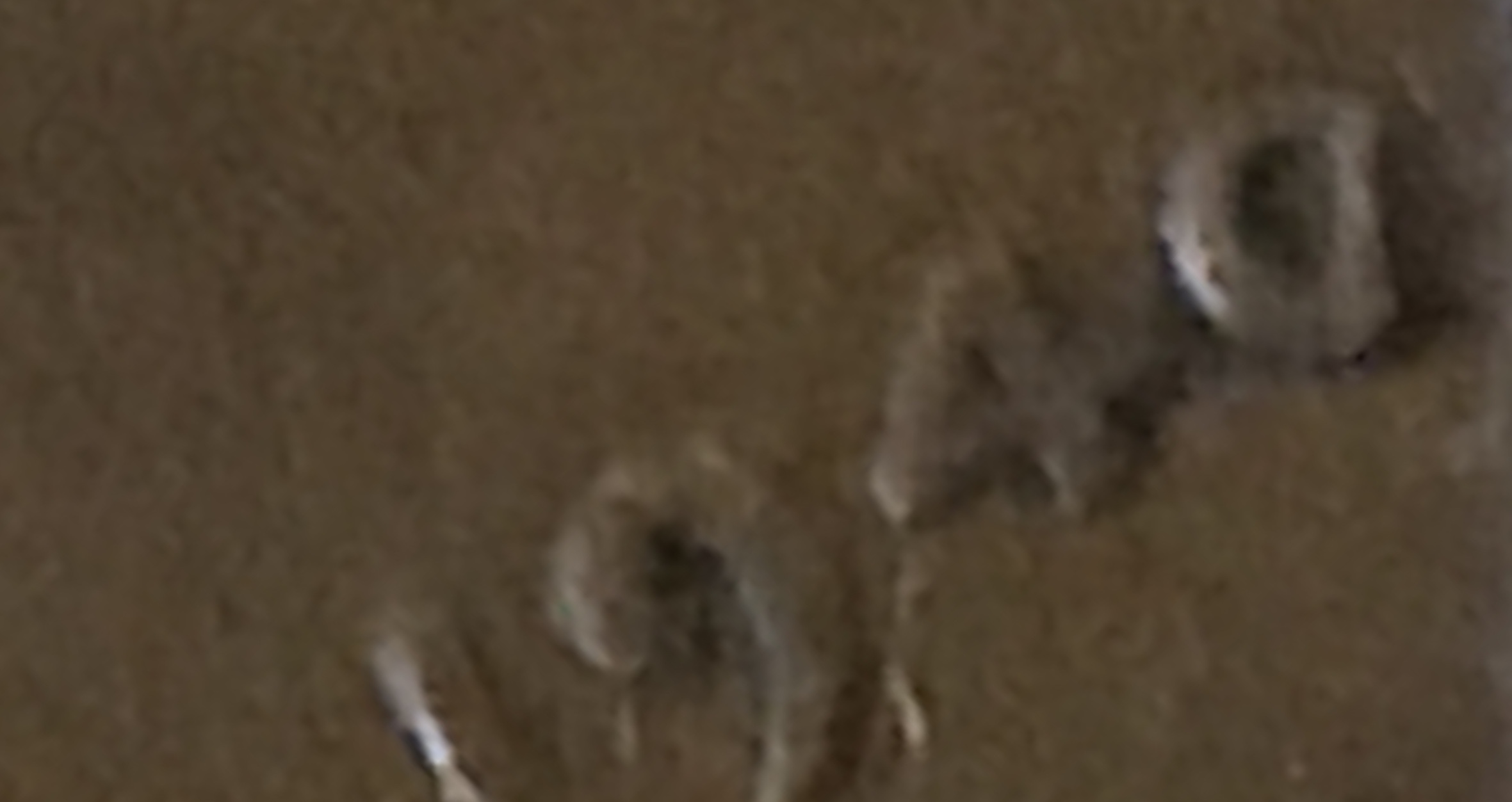 1940-Wheat-0-Is-Upside-Down-D