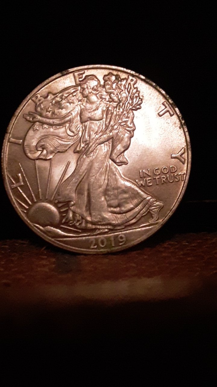 2019-Silver-Dollar,-Is-It-Authentic-Or-Fake?