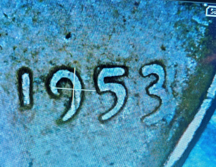 1953-Wheat-Penny.-New-DDO?