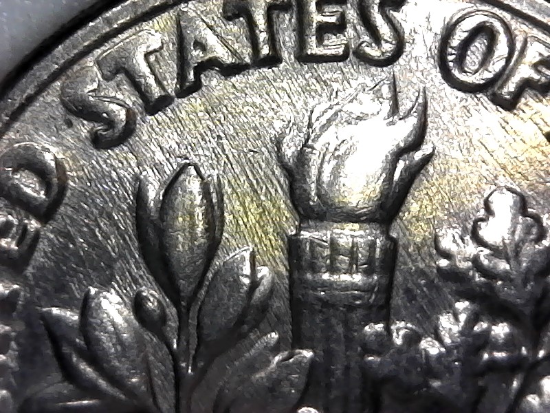 Dime-Time-For-Meow,-Odd-Shapes-In-Roosevelt.