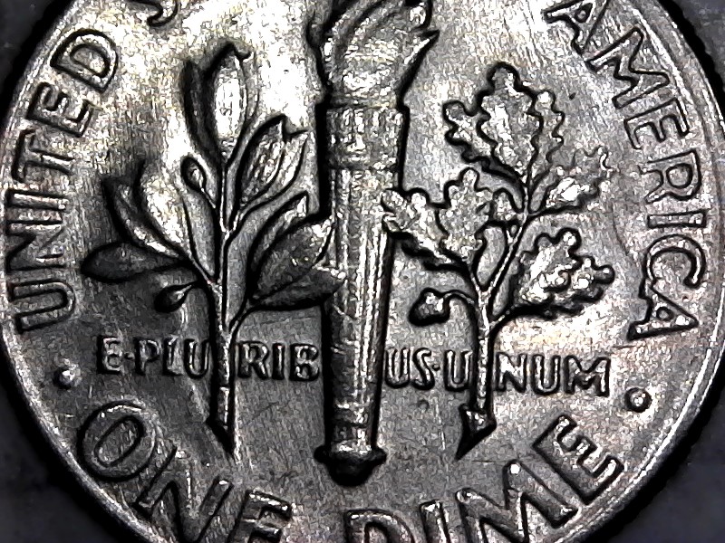 Dime-Time-For-Meow,-Odd-Shapes-In-Roosevelt.