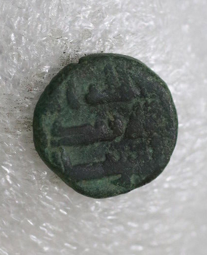 Solved:-Three-Of-The-Same-Fals-Andalus?---ID-Needed